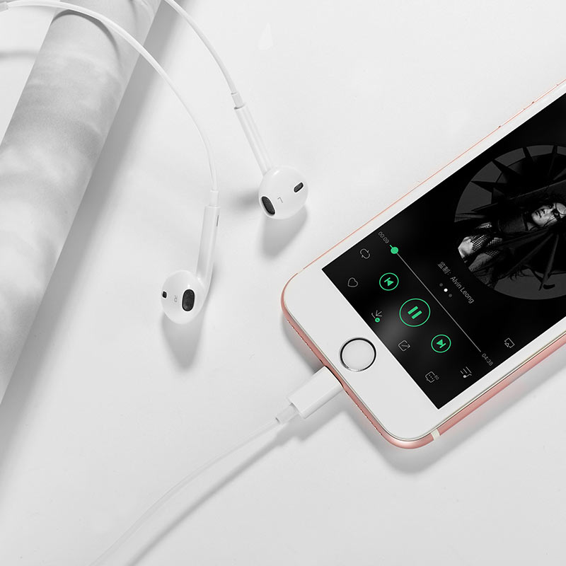Hoco M80 Earphones for TYPE C